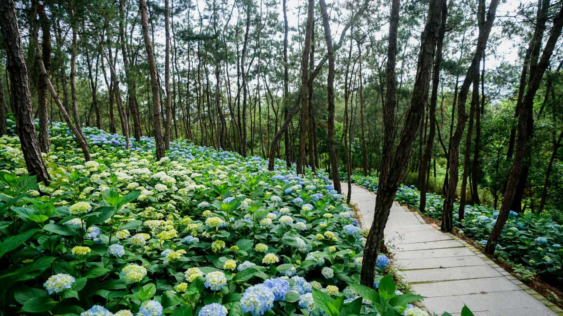 �������Ώ�(f��)�K �S���V���ҕ�_��ͨ�����V������Ҋ��һ �ж����㡱���{�����λ�ӈA�M�Y(ji��)��