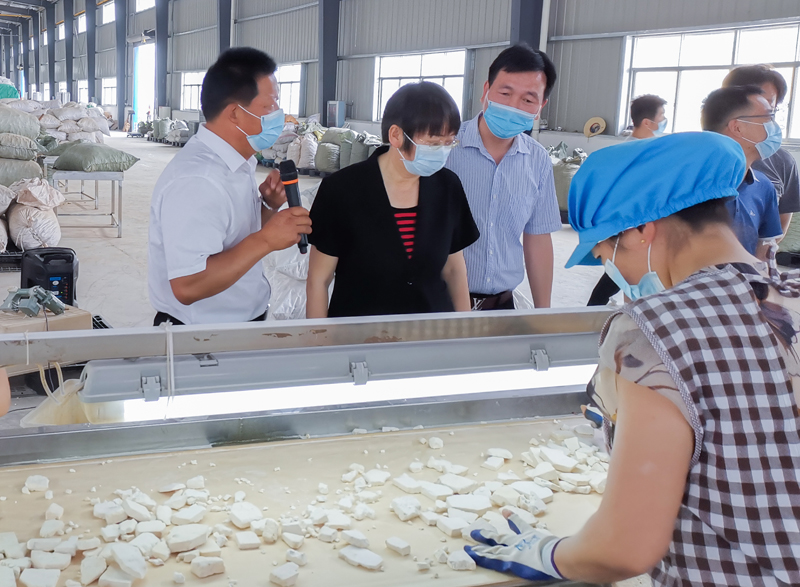 �S�������f(xi��)��Ӣɽ�_չ�h���f(xi��)�̌��}�{(di��o)��