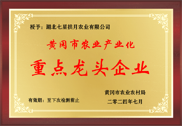 ����l(f��)�]ƽ�_����  �ӿ���ֲ�µĽ�(j��ng)�I���L�c